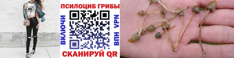 Галлюциногенные грибы ЛСД  Серов 
