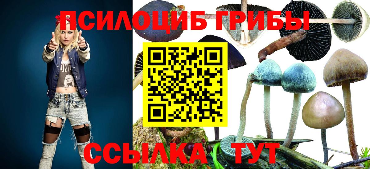 Серов  Галлюциногенные грибы Psilocybe  Вход с VPN 